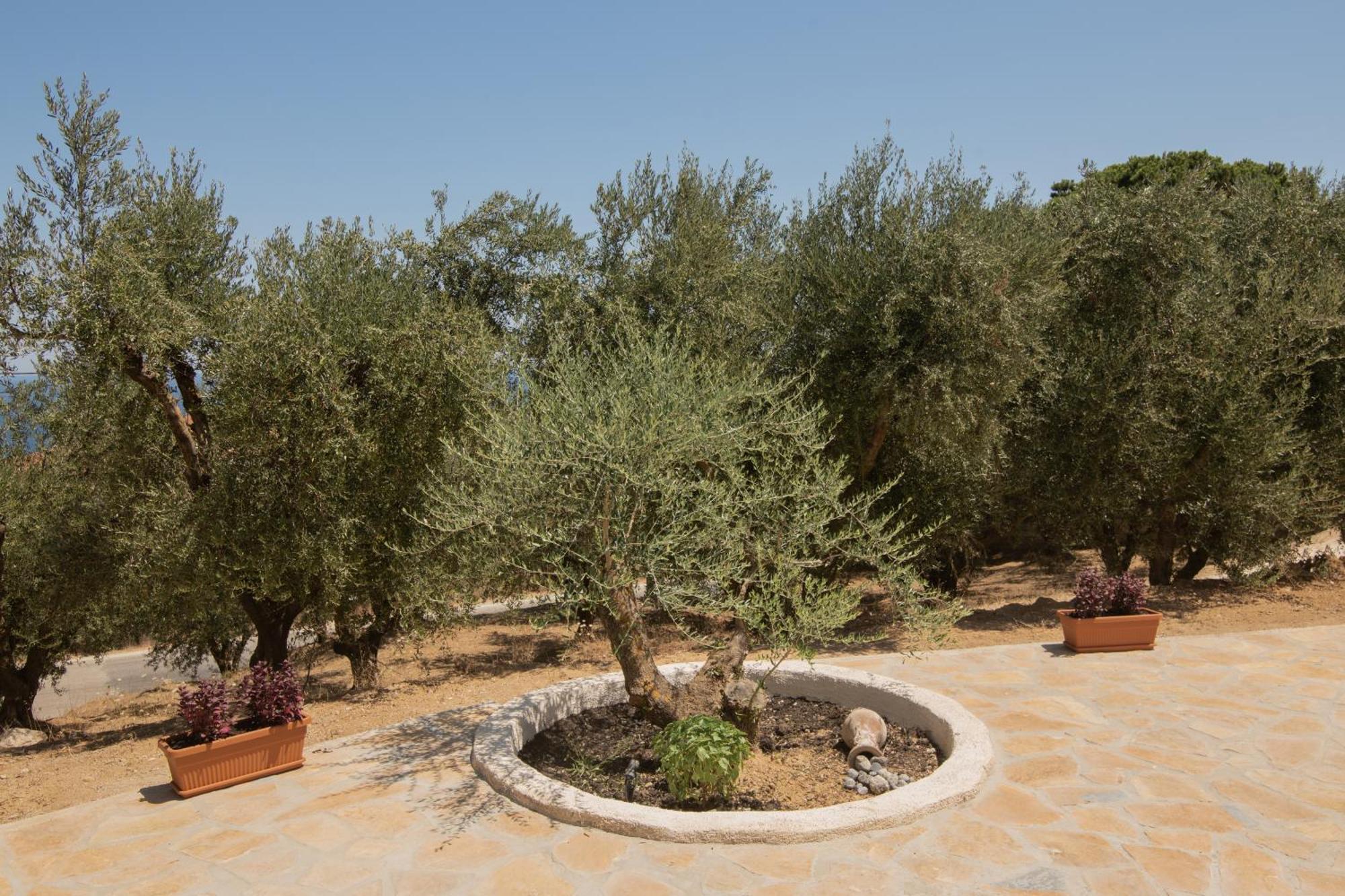 Cossoro Villas Zakynthos Xirokástellon Quarto foto